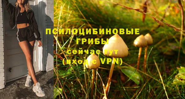 марки lsd Навашино