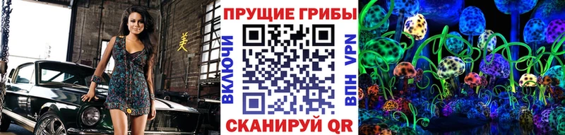 Псилоцибиновые грибы Cubensis Купить Сковородино